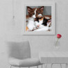 Пример готовой работы Пушистые котята Картина по номерам Molly KH1087