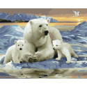 Белые полярные медведи Картина по номерам Molly