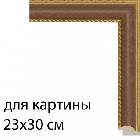 Для картины 23х30 см Тёмный дуб с декоративной полоской Рамка для картины на картоне N171