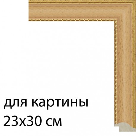 Для картины 23х30 см Бук с декоративной полоской Рамка для картины на картоне N173