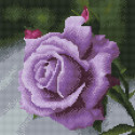  Фиолетовая роза Алмазная вышивка мозаика на подрамнике KM0976