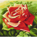  Красная роза Ткань с рисунком для вышивания Матренин Посад 1216