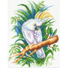  Белый попугай Канва с рисунком для вышивания МП Студия СК-116