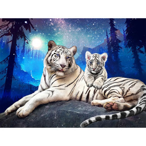  Тигры в ночи Алмазная вышивка мозаика Алмазное Хобби AH5529