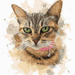  Домашняя кошка Раскраска картина по номерам на холсте Molly KH1104