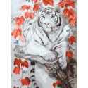  Бенгальский тигр Раскраска картина по номерам на цветном холсте Molly KK0720