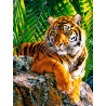  Тигр в джунглях Алмазная вышивка мозаика на картоне Molly KM1018