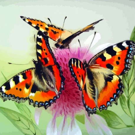 Бабочки на цветке Раскраска по номерам акриловыми красками на холсте Color Kit