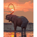 Африканский слон Раскраска картина по номерам на цветном холсте Molly