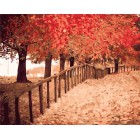 Осенняя пора Раскраска ( картина ) по номерам акриловыми красками на холсте Белоснежка