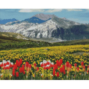  Тюльпаны в горах Алмазная вышивка мозаика Арт Фея UA455