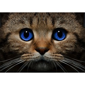 Синеглазый кот Алмазная вышивка (мозаика) Гранни