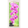  Розовая орхидея Панно Раскраска картина по номерам на цветном холсте Molly KHS0009