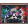  Космический кот Алмазная вышивка мозаика на подрамнике EQ10346
