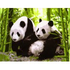 Две панды в зарослях бамбука Раскраска (картина) по номерам акриловыми красками на холсте Menglei