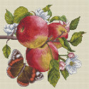 Яблоки на ветке Набор для вышивания Белоснежка