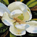 Белая орхидея Алмазная вышивка мозаика АртФея
