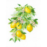  Яркие лимоны Набор для вышивания Риолис 2054