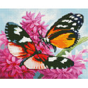 Бабочки на цветке Алмазная вышивка мозаика без подрамника