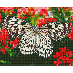  Белая бабочка Алмазная вышивка мозаика без подрамника GJW3482