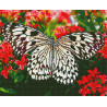  Белая бабочка Алмазная вышивка мозаика без подрамника GJW3482