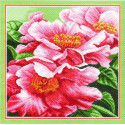 Розовые пионы Ткань с рисунком для вышивания Матренин Посад