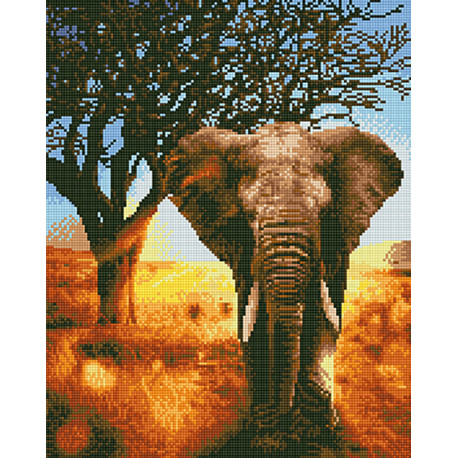  Слон в сафари Алмазная вышивка мозаика без подрамника GJW4647