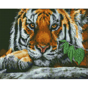  Тигр в ожидании Алмазная вышивка мозаика без подрамника GJW2970