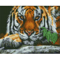 Тигр в ожидании Алмазная вышивка мозаика без подрамника