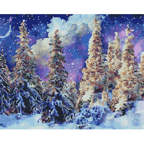  Ночь в зимнем лесу Алмазная вышивка мозаика без подрамника GJW4081