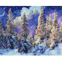 Ночь в зимнем лесу Алмазная вышивка мозаика без подрамника