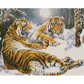  Тигры в зимнем лесу Алмазная вышивка мозаика без подрамника GJW5189