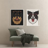  Колли / Животные / Собаки 80х100 см Раскраска картина по номерам на холсте AAAA-C0156-80x100