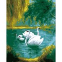 Белые лебеди Раскраска картина по номерам на холсте Живопись по номерам (Paintboy)