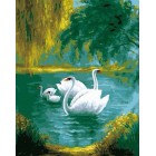 Белые лебеди Раскраска картина по номерам акриловыми красками на холсте Живопись по номерам (Paintboy)