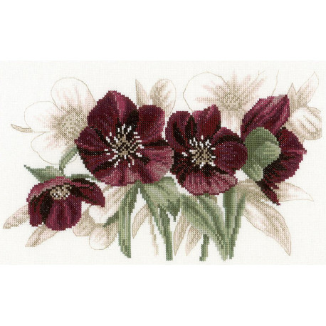  Hellebores Набор для вышивания LanArte PN-0021206