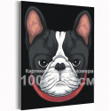  Бульдог / Животные, собаки 100х125 см Раскраска картина по номерам на холсте AAAA-C0145-100x125