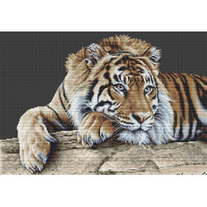  Тигр Набор для вышивания Thea Gouverneur 579.05