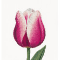  Сиреневый тюльпан Набор для вышивания Thea Gouverneur 517