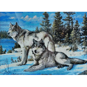 Два волка Алмазная вышивка мозаика Алмазная живопись АЖ-4016