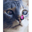  Котёнок и бабочка Раскраска картина по номерам на холсте ZX 43312