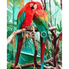 Влюбленные попугаи Алмазная вышивка мозаика Iteso