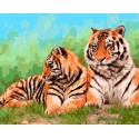 Амурские тигры Раскраска ( картина ) по номерам на холсте Iteso