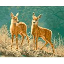 Пятнистые оленята Раскраска ( картина ) по номерам на холсте Iteso