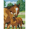 Лошадь с жеребенком Алмазная вышивка мозаика на подрамнике Белоснежка
