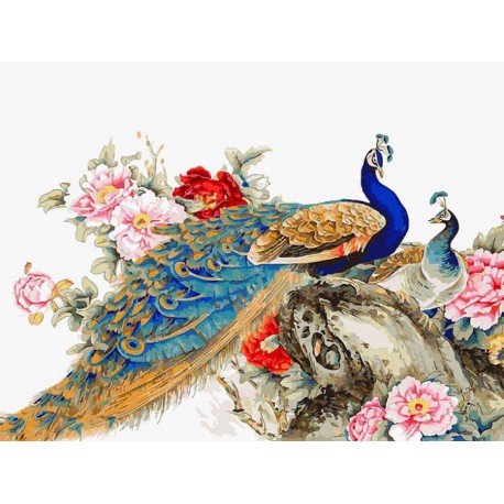 Китайские павлины Раскраска картина по номерам акриловыми красками на холсте Белоснежка