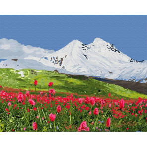  Горы в снегу Раскраска картина по номерам на холсте ZX 10012