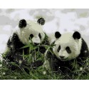 Две панды Раскраска картина по номерам на холсте Menglei