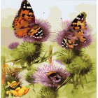 Бабочки и шмели Раскраска картина по номерам акриловыми красками Color Kit