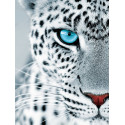  Взгляд леопарда Раскраска картина по номерам на холсте ME1154